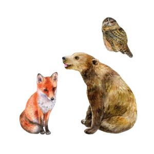 Set Bosdieren PropUps 14