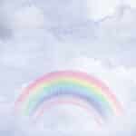 Regenboog thema