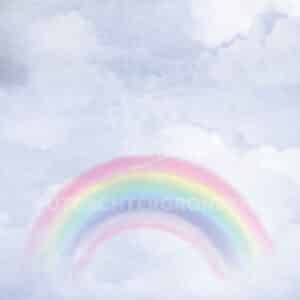 Regenboog thema